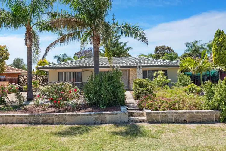 Main view of Homely house listing, 3 Burtonia Way, Forrestfield WA 6058