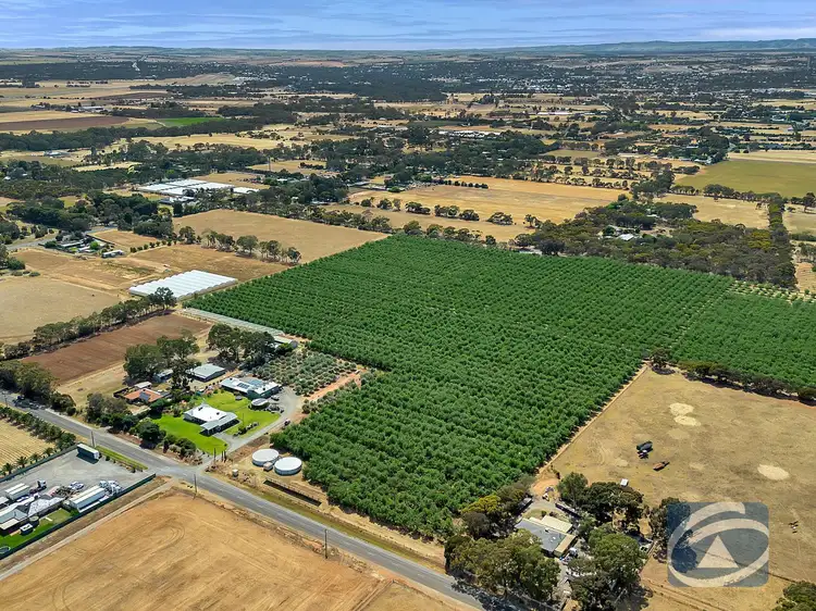 Seventh view of Homely land listing, Lot 78 Wingate Road, Hillier SA 5116