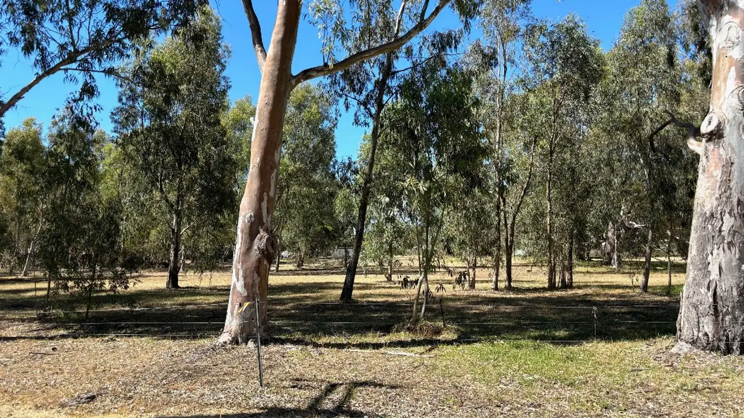 Main view of Homely rural property listing, 10 Paterson Road, Waroona WA 6215