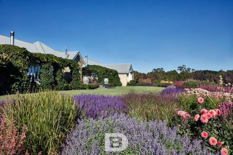 Fifth view of Homely house listing, 842 Ashbourne Road, Ashbourne VIC 3442