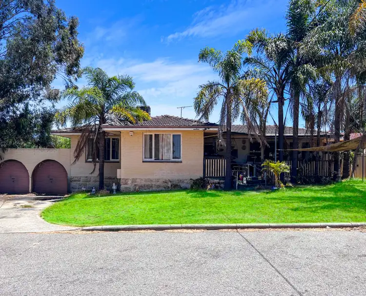 Main view of Homely house listing, 7 Cowell Place, Calista WA 6167