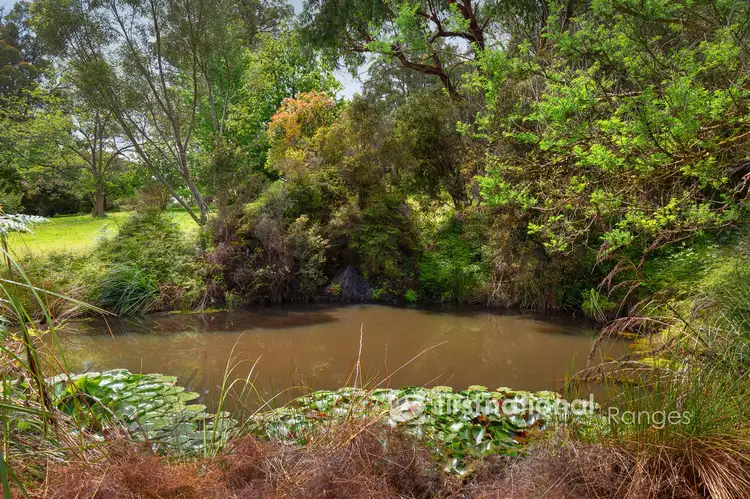 Fourth view of Homely house listing, 115 Collie Road, Gembrook VIC 3783