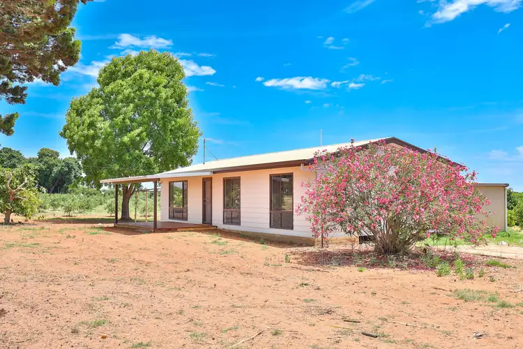 Main view of Homely house listing, 21 Mourquong Road, Mourquong NSW 2739