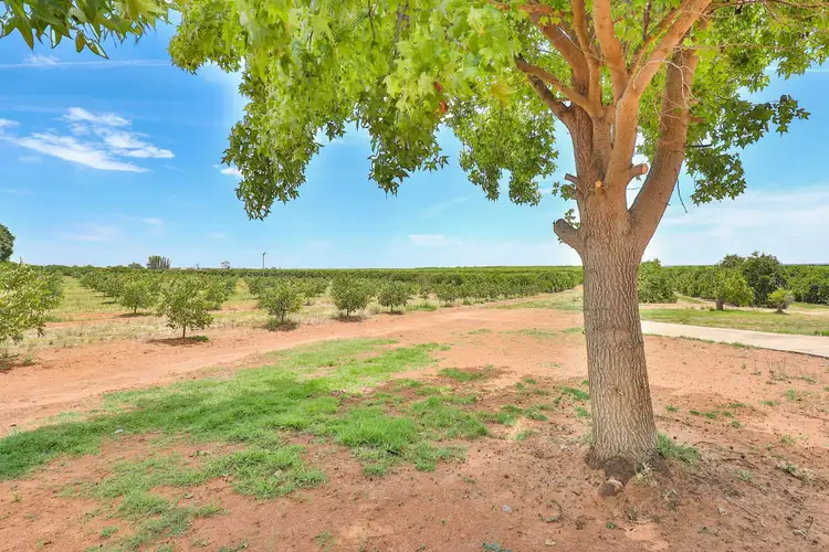 Third view of Homely house listing, 21 Mourquong Road, Mourquong NSW 2739