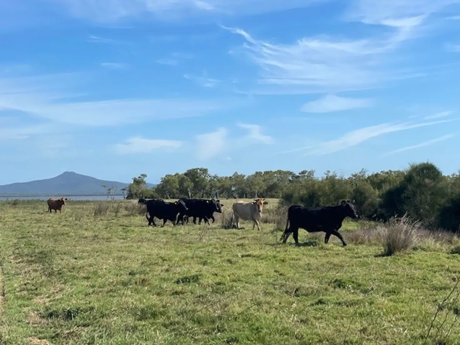 Main view of Homely rural property listing, Lot 2 and Lot 16 Palmers Channel South Bank Road, Palmers Channel NSW 2463