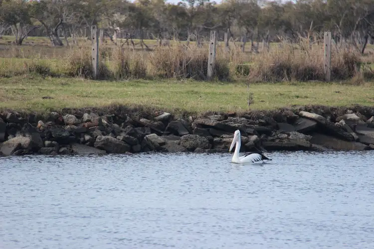 Third view of Homely rural property listing, Lot 2 and Lot 16 Palmers Channel South Bank Road, Palmers Channel NSW 2463