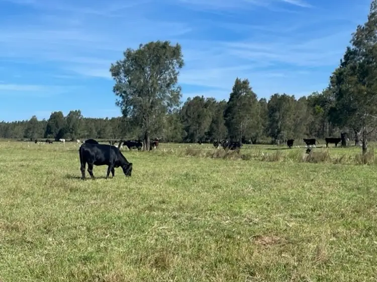 Fifth view of Homely rural property listing, Lot 2 and Lot 16 Palmers Channel South Bank Road, Palmers Channel NSW 2463