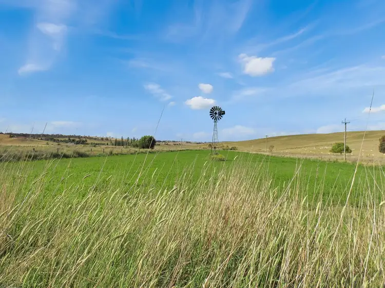 Third view of Homely rural property listing, 479 Gestingthorpe Road, Cow Flat NSW 2795