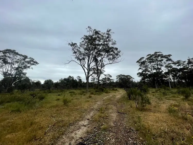 Main view of Homely rural property listing, 755 Bendigo-Maldon Road, Walmer VIC 3463