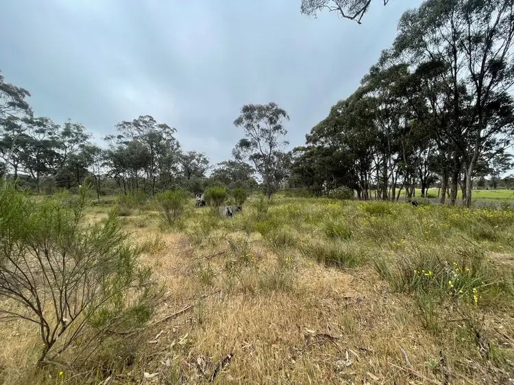 Second view of Homely rural property listing, 755 Bendigo-Maldon Road, Walmer VIC 3463