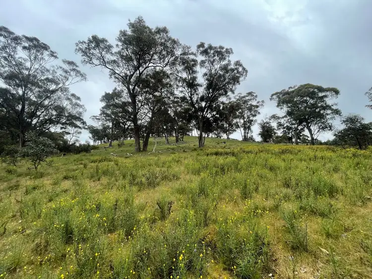 Fourth view of Homely rural property listing, 755 Bendigo-Maldon Road, Walmer VIC 3463