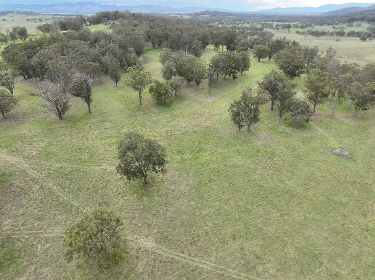 Main view of Homely rural property listing, Lot 120 Black Swamp Road, Tenterfield NSW 2372
