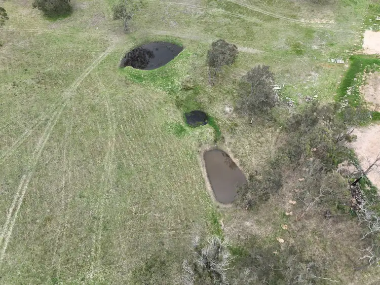 Sixth view of Homely rural property listing, Lot 120 Black Swamp Road, Tenterfield NSW 2372