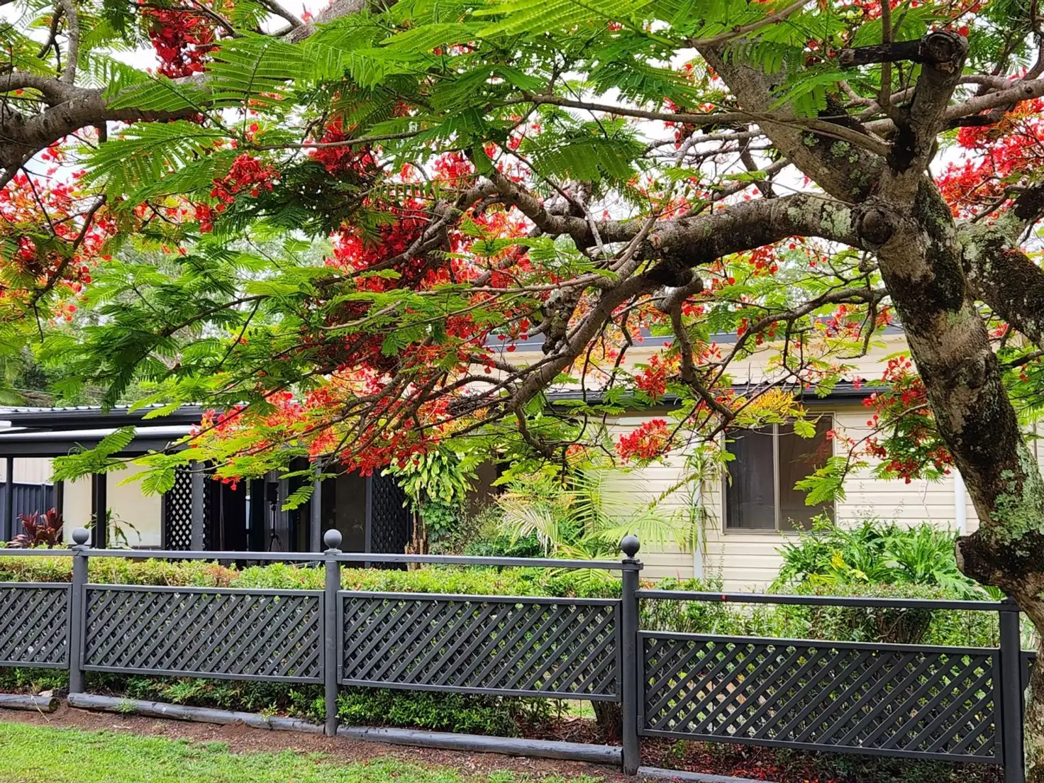 Main view of Homely house listing, 6 Elizabeth Street, Cooran QLD 4569