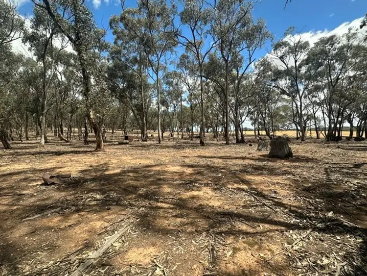 Sixth view of Homely rural property listing, C/A 3P Sec A Bealiba-Rheola Road, Cochranes Creek VIC 3475