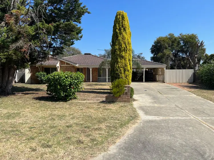 Main view of Homely house listing, 14 Osmunda Place, Pinjarra WA 6208