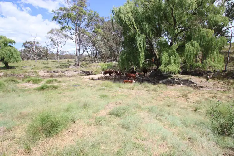 335 Washpool Creek Road, Tenterfield NSW 2372