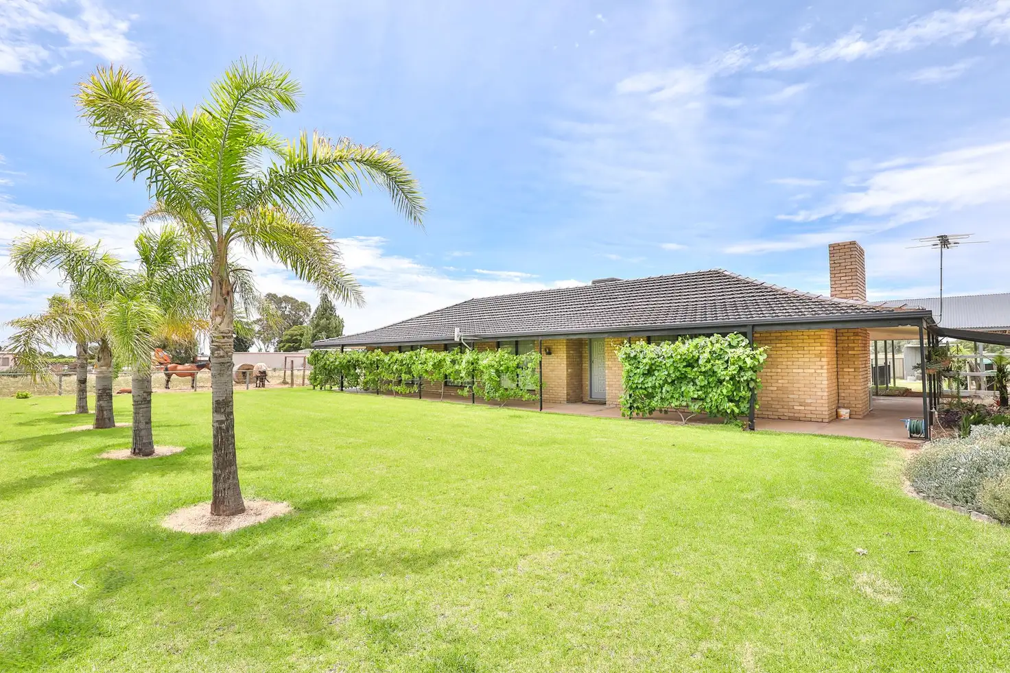 Main view of Homely house listing, 3330 Deakin Avenue, Mildura VIC 3500