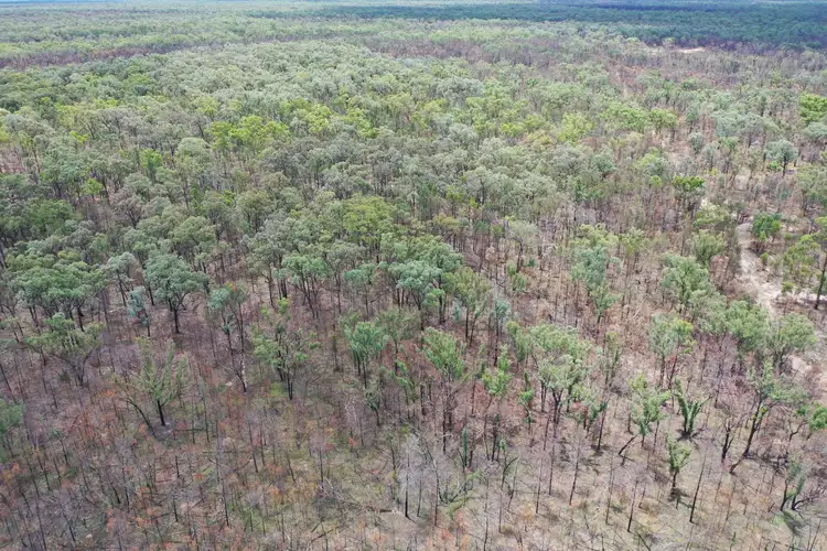 Seventh view of Homely rural property listing, Lot 2 Chinchilla-Tara Road, Chinchilla QLD 4413
