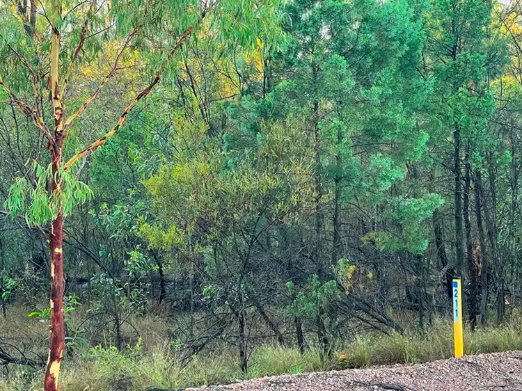 Main view of Homely rural property listing, 211 Lucky Road, Tara QLD 4421