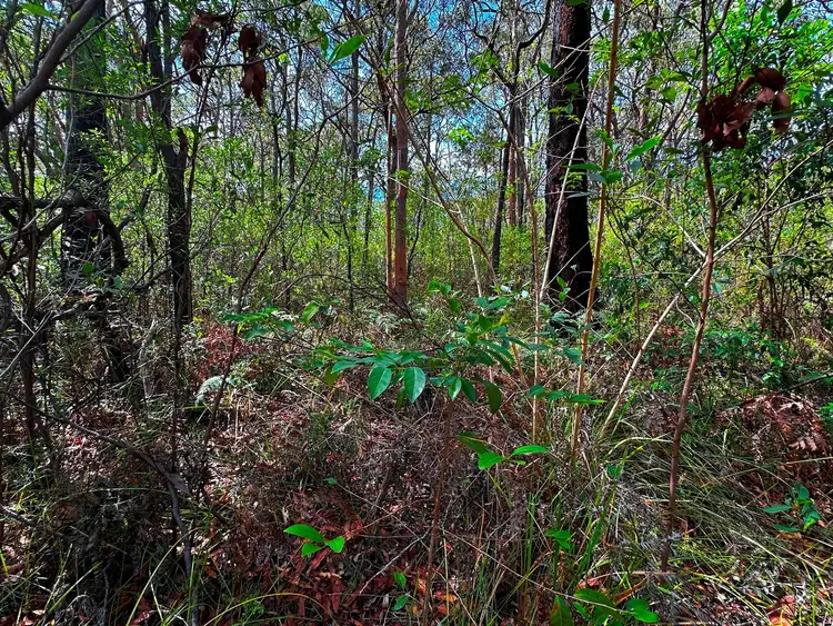 Second view of Homely land listing, Lot 1111 Aberdeen Street, North Arm Cove NSW 2324