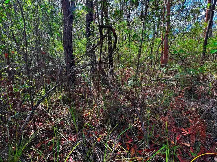 Fifth view of Homely land listing, Lot 1111 Aberdeen Street, North Arm Cove NSW 2324