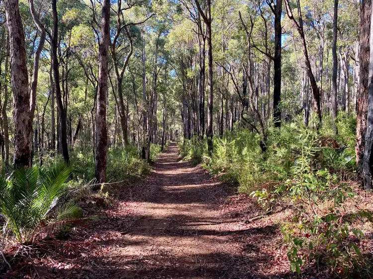Main view of Homely rural property listing, Lot 22 Oro Road, Dwellingup WA 6213