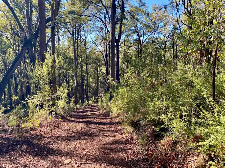 Fifth view of Homely rural property listing, Lot 22 Oro Road, Dwellingup WA 6213