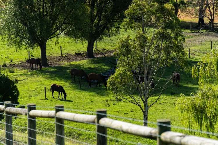 Seventh view of Homely land listing, 1 Bartholomew Circuit, Traralgon VIC 3844