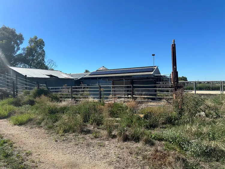 Third view of Homely rural property listing, 116 Danahers Road, Cohuna VIC 3568