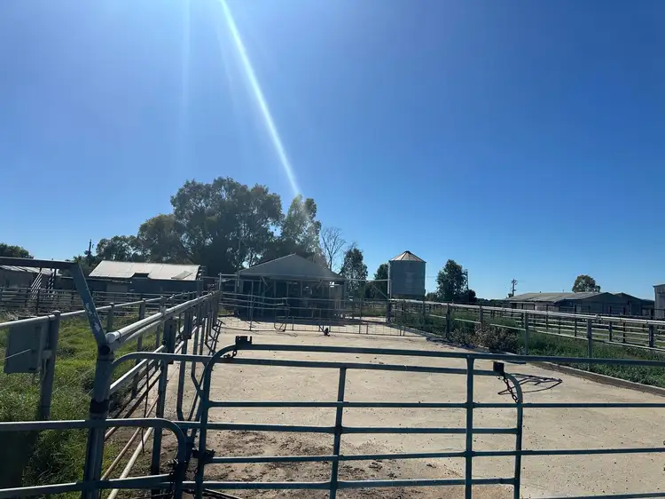 Fourth view of Homely rural property listing, 116 Danahers Road, Cohuna VIC 3568