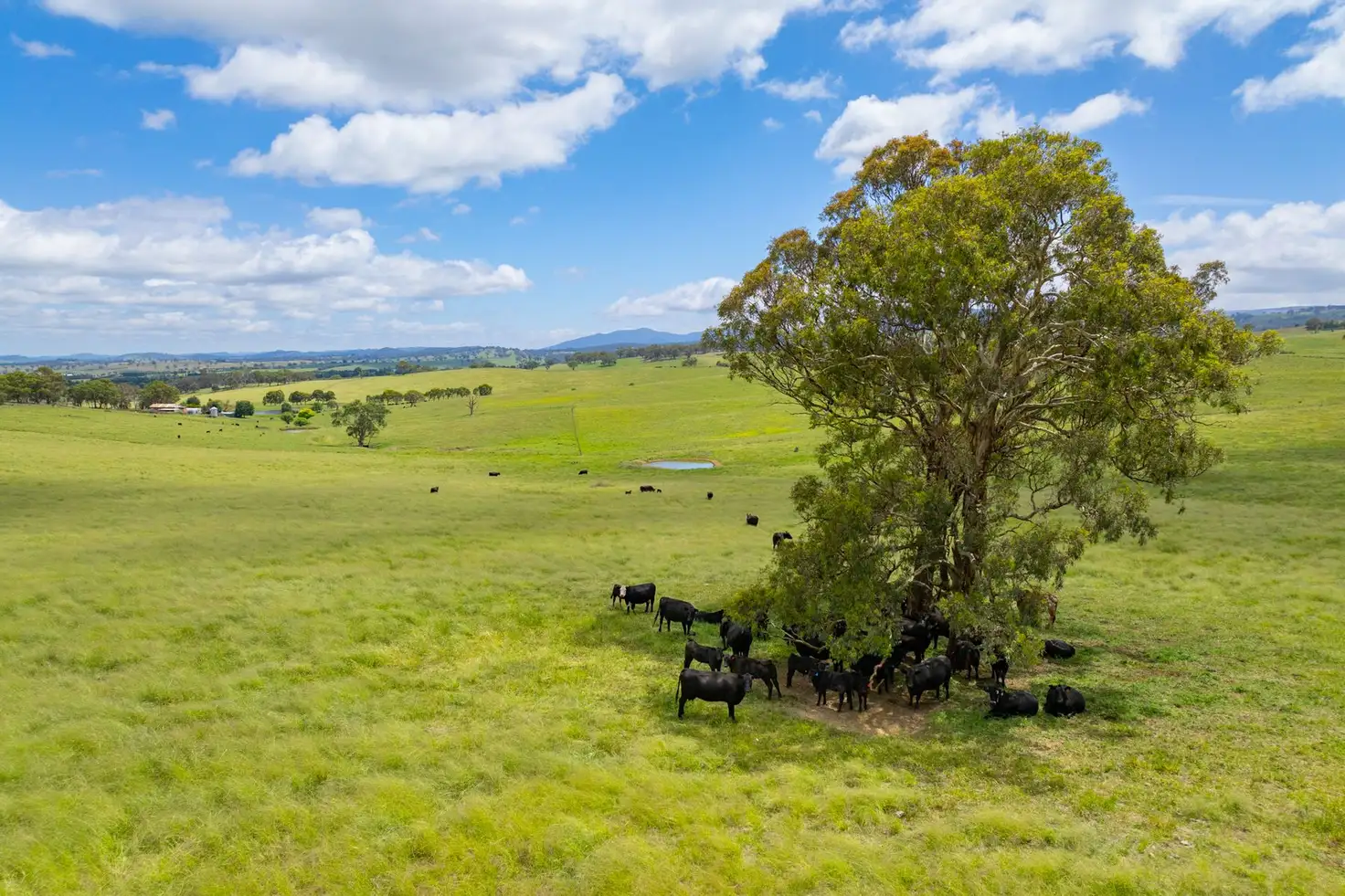 Main view of Homely rural property listing, 188 Burkes Lane, Brewongle VIA, Bathurst NSW 2795