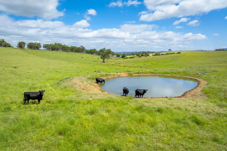 Fifth view of Homely rural property listing, 188 Burkes Lane, Brewongle VIA, Bathurst NSW 2795