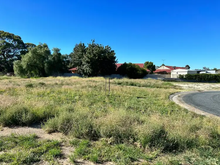 20 Briggs Court, Barham NSW 2732