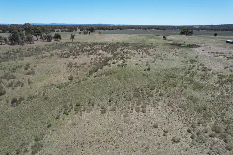 Fifth view of Homely rural property listing, 617 & 619 Ponderosa Road, Bealiba VIC 3475