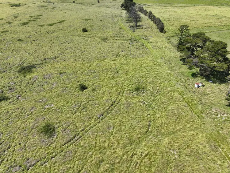 Fifth view of Homely rural property listing, 409 Bellevue Road, Tenterfield NSW 2372