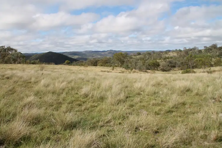 Fourth view of Homely rural property listing, 214 Mole Station Road, Tenterfield NSW 2372