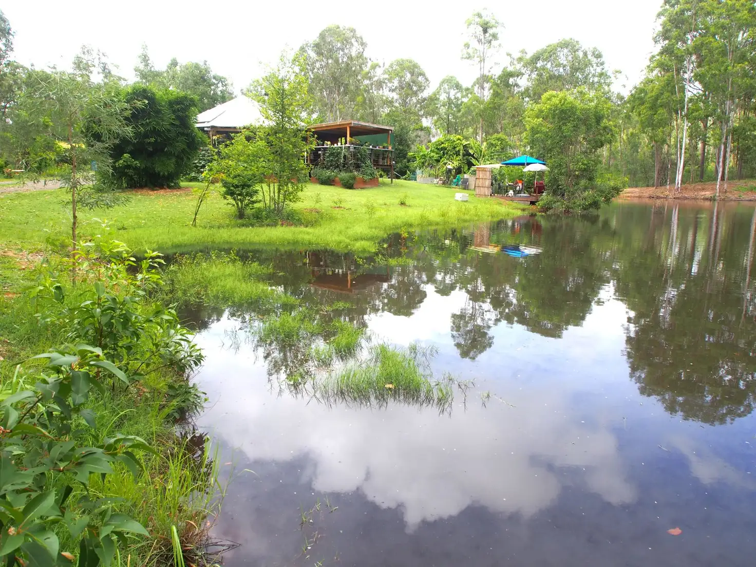 Main view of Homely rural property listing, 8 Morton Close, Apple Tree Creek QLD 4660