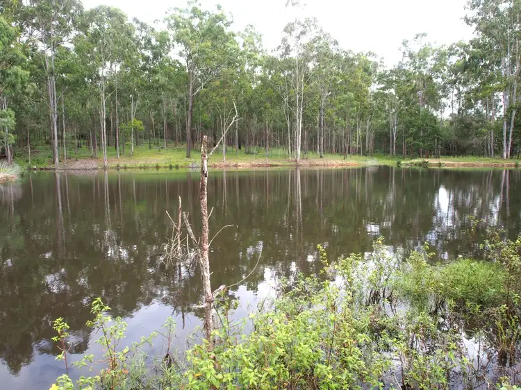 Fifth view of Homely rural property listing, 8 Morton Close, Apple Tree Creek QLD 4660