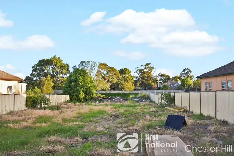 113 Waldron Road, Chester Hill NSW 2162