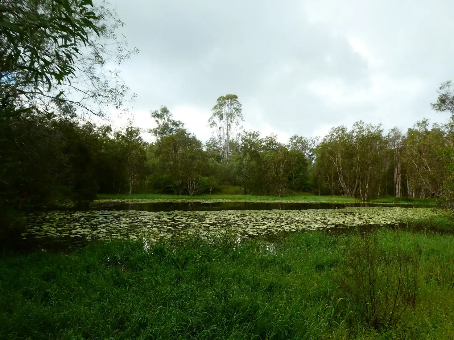 Main view of Homely rural property listing, Address available on request