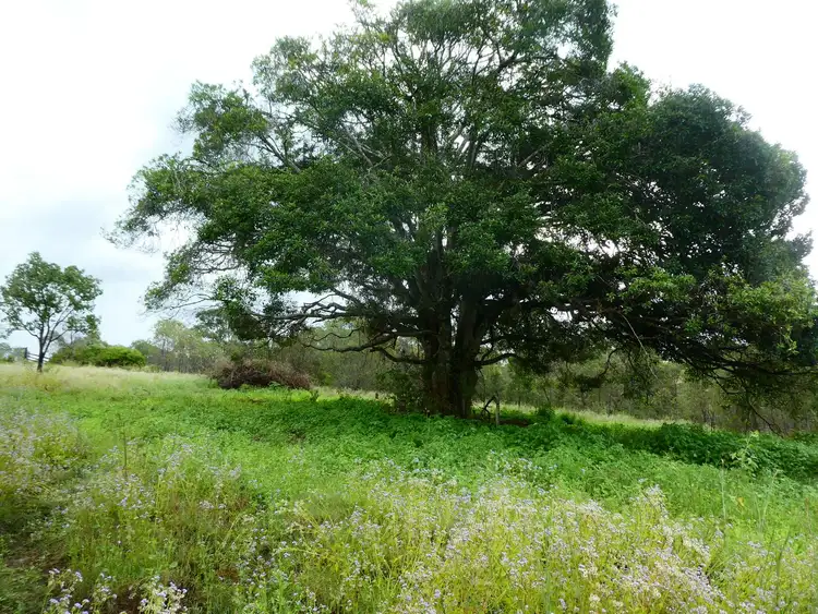 Third view of Homely rural property listing, Address available on request