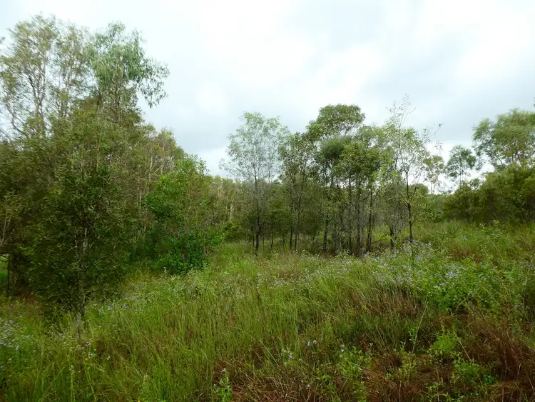 Seventh view of Homely rural property listing, Address available on request