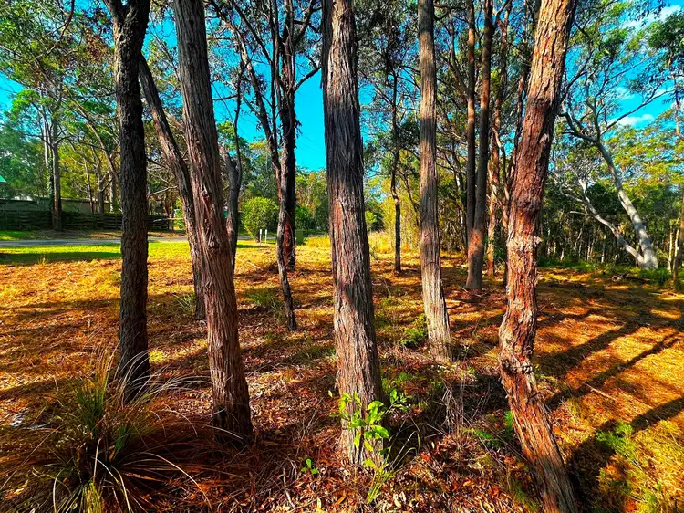 Third view of Homely land listing, 289 Bundabah Road, Bundabah NSW 2324