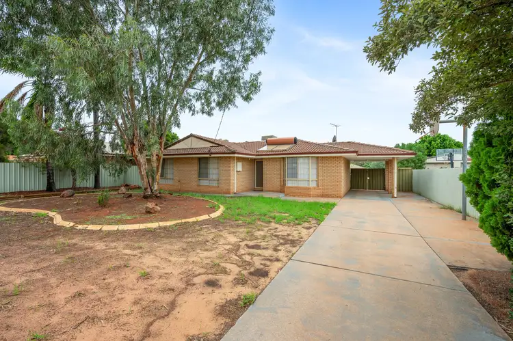 41 O'Connor Way, West Lamington WA 6430