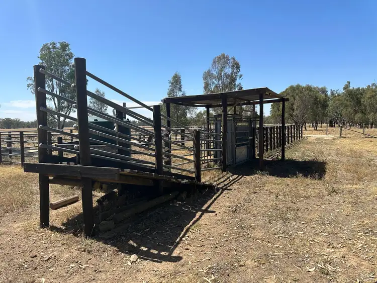 Sixth view of Homely rural property listing, 39 Mitchell Road, Kotupna VIC 3638