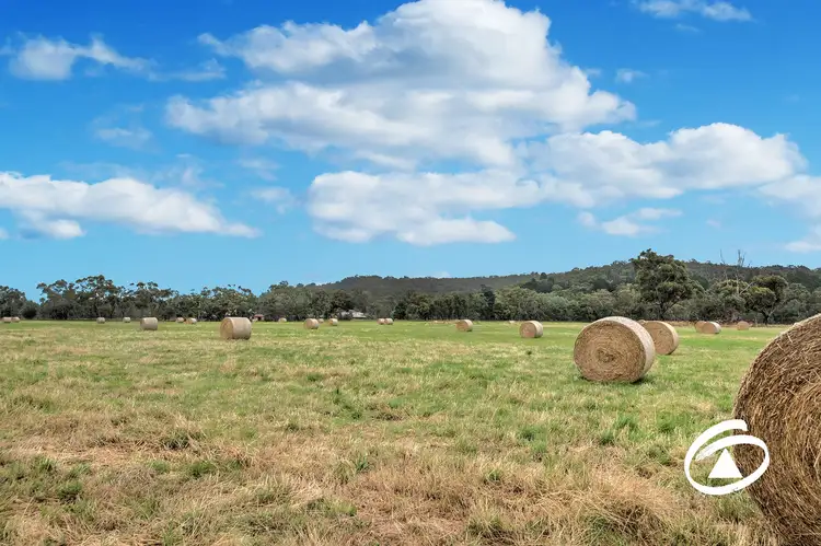 Main view of Homely rural property listing, 425 Toomuc Valley Road, Pakenham VIC 3810
