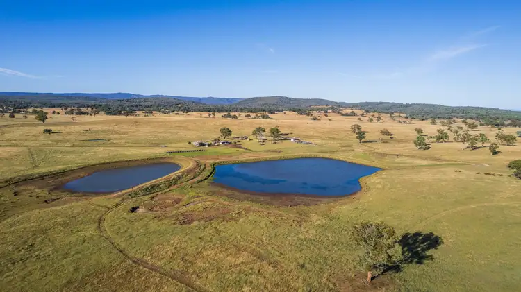 1872 Reedy Creek Road, Tenterfield NSW 2372