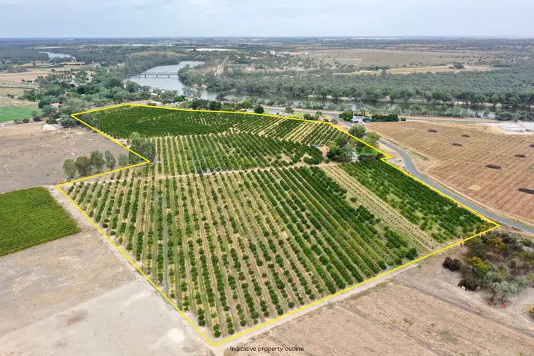 615 Delta Road, Curlwaa NSW 2648