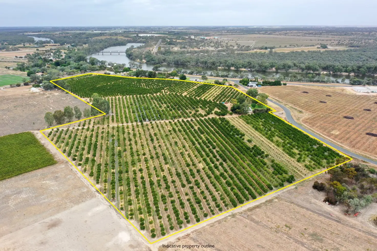 Main view of Homely rural property listing, 615 Delta Road, Curlwaa NSW 2648